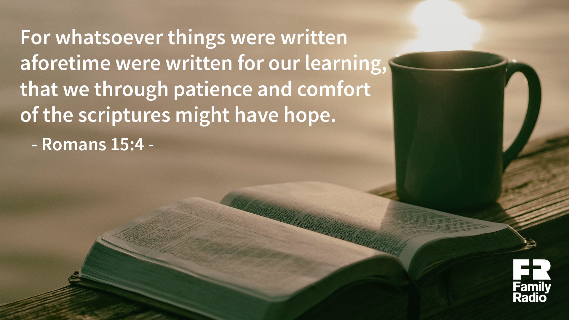"For whatsoever things were written aforetime were written for our learning that we through patience and comfort of the scriptures might have hope."