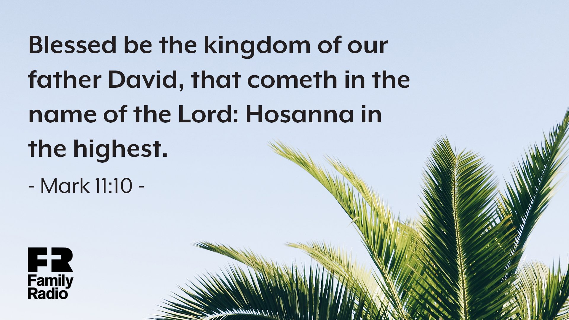 "Blessed be the kingdom of our father David, that cometh in the name of the Lord: Hosanna in the highest."