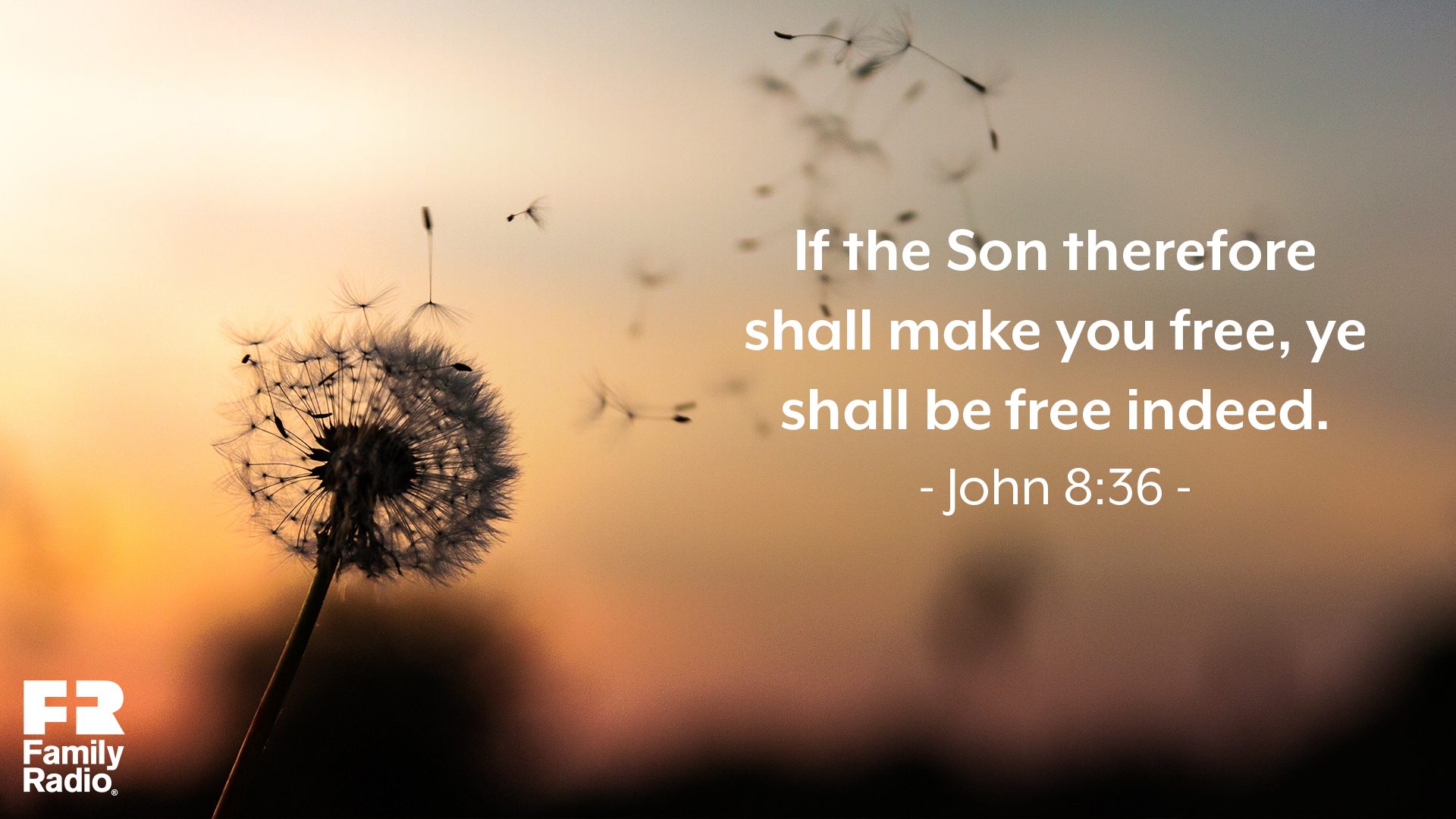 "If the Son therefore shall make you free, ye shall be free indeed."