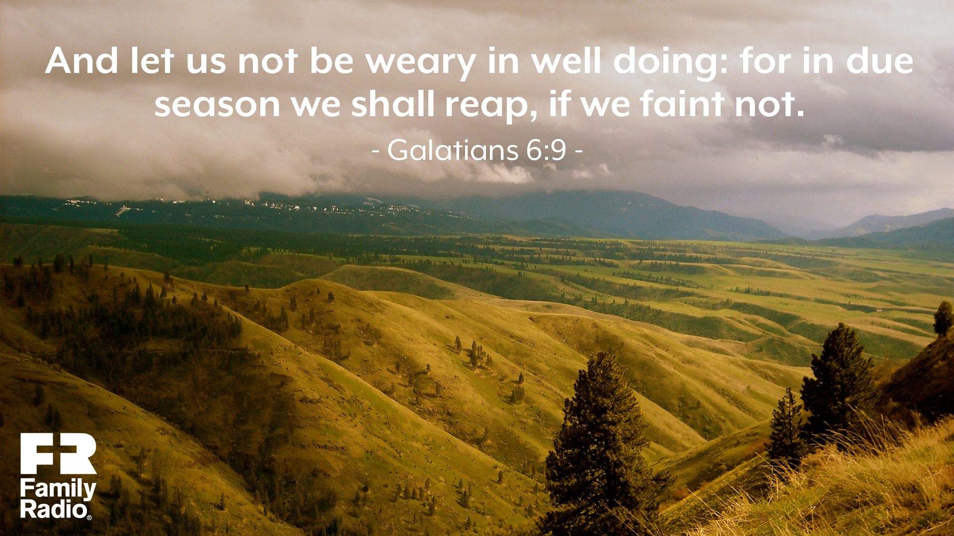 "And let us not be weary in well doing: for in due season we shall reap, if we faint not."