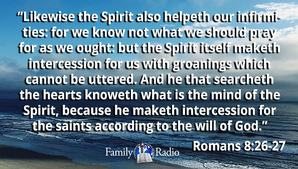 romans 8 26 message version