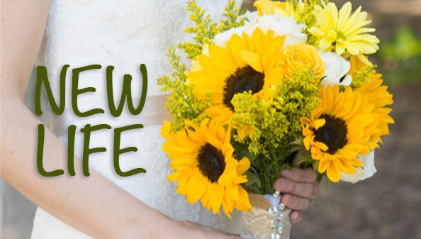 New Life