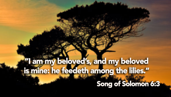 song of solomon 3 6 7