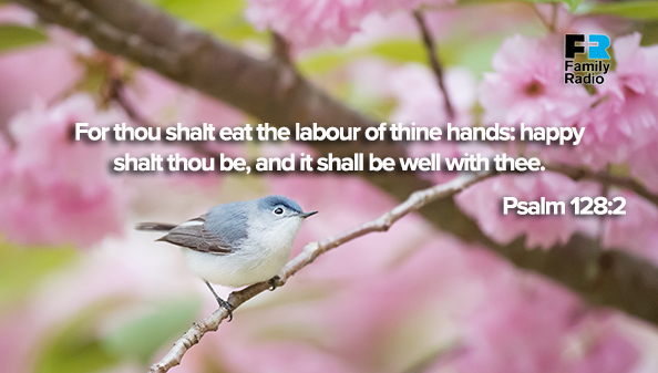 Psalm 1282 Family Radio