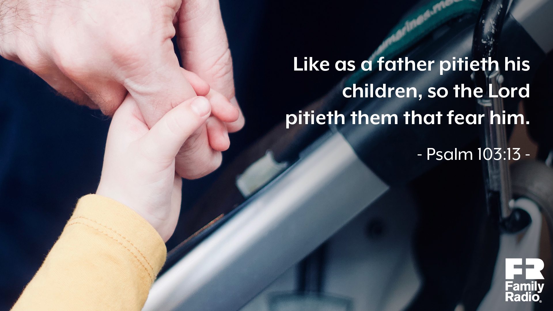 "Like as a father pitieth his children, so the Lord pitieth them that fear him."