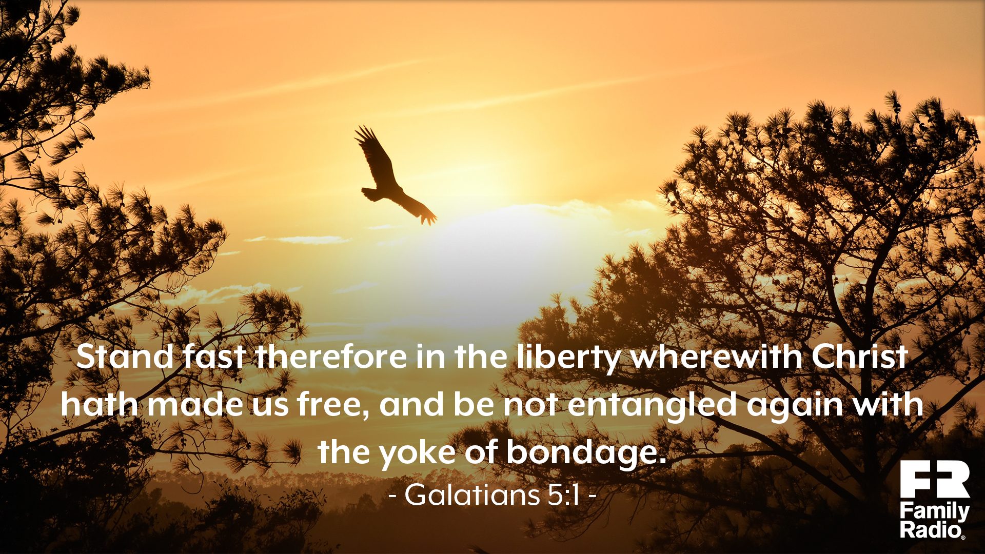 "Stand fast therefore in the liberty wherewith Christ hath made us free, and be not entangled again with the yoke of bondage."