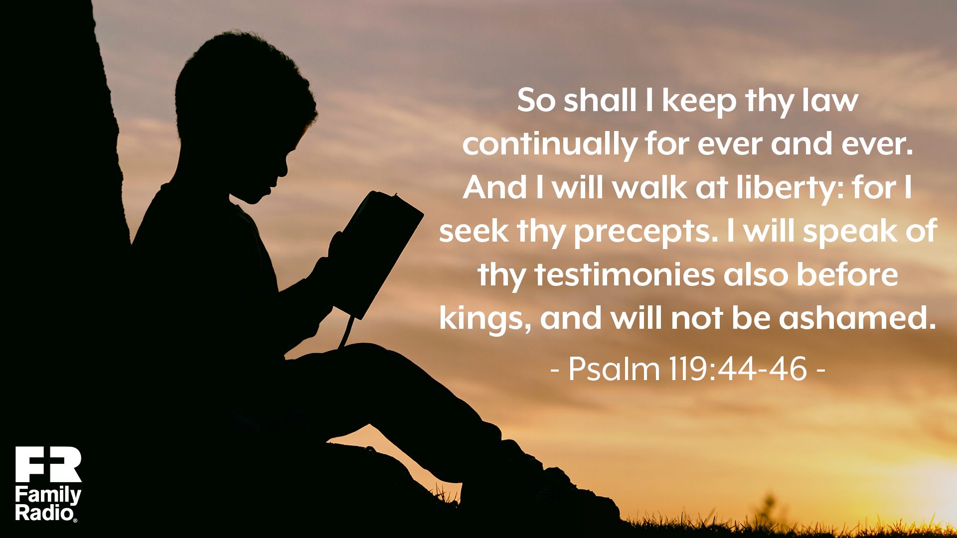 "So shall I keep thy law continually for ever and ever. And I will walk at liberty: for I seek thy precepts. I will speak of thy testimonies also before kings, and will not be ashamed."