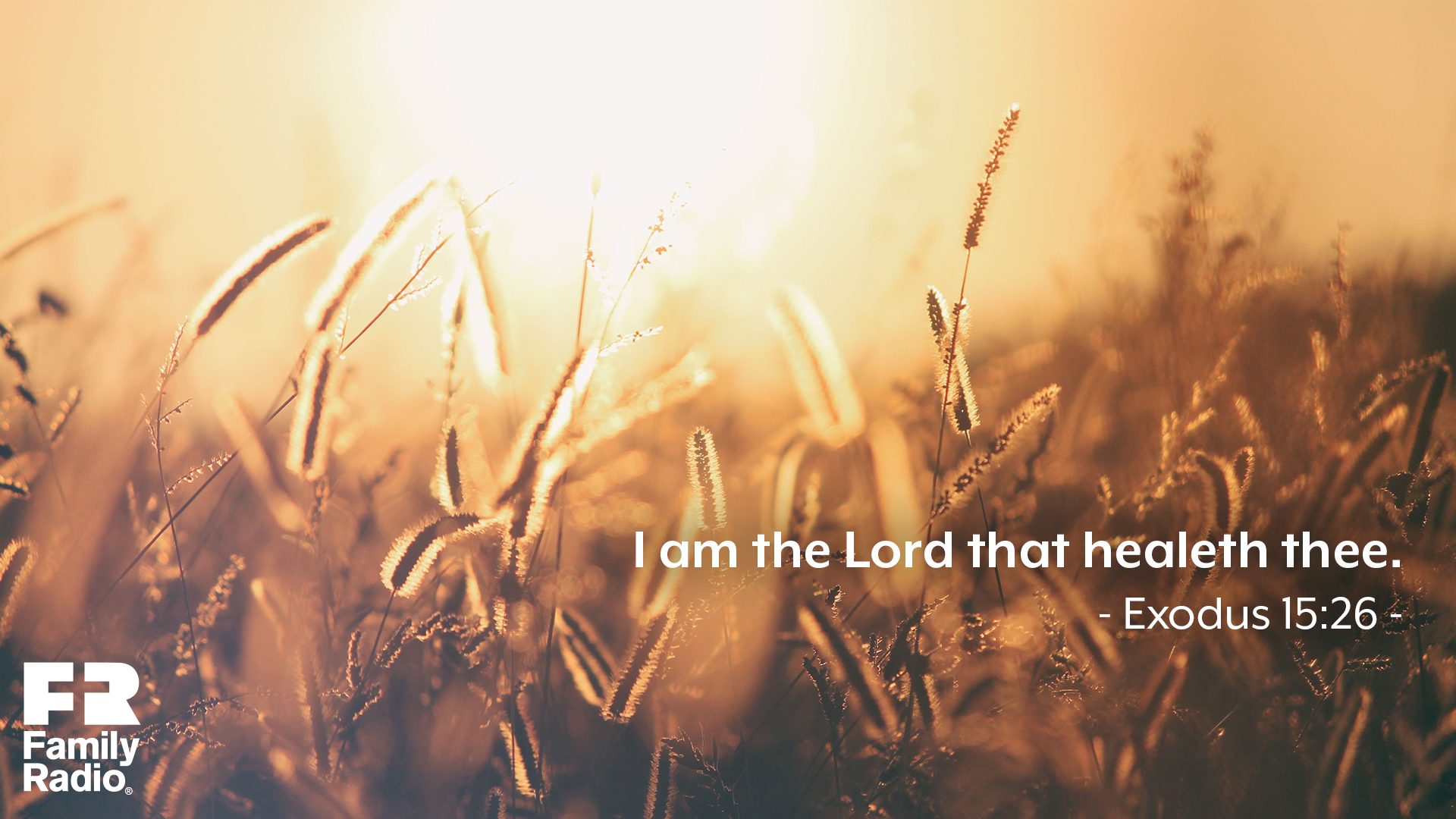 "I am the LORD that healeth thee."
