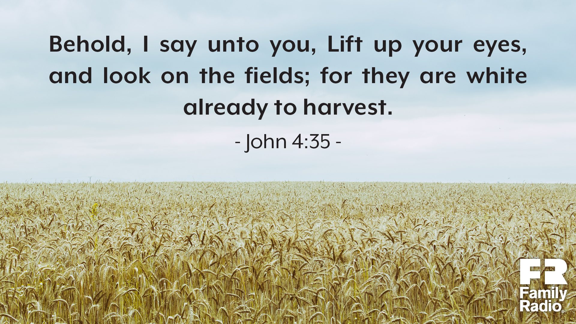 "Behold, I say unto you, Lift up your eyes, and look on the fields; for they are white already to harvest."