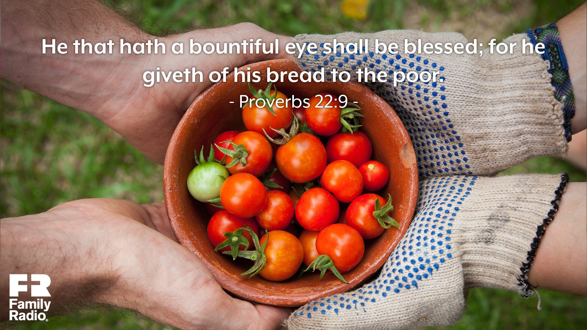 "He that hath a bountiful eye shall be blessed; for he giveth of his bread to the poor."