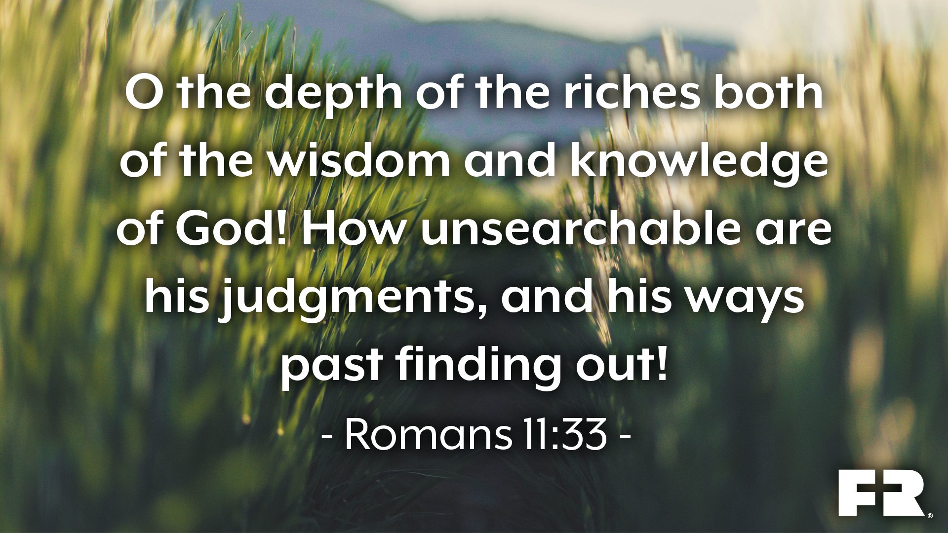 “O the depth of the riches both of the wisdom and knowledge of God! how unsearchable are his judgments, and his ways past finding out!”