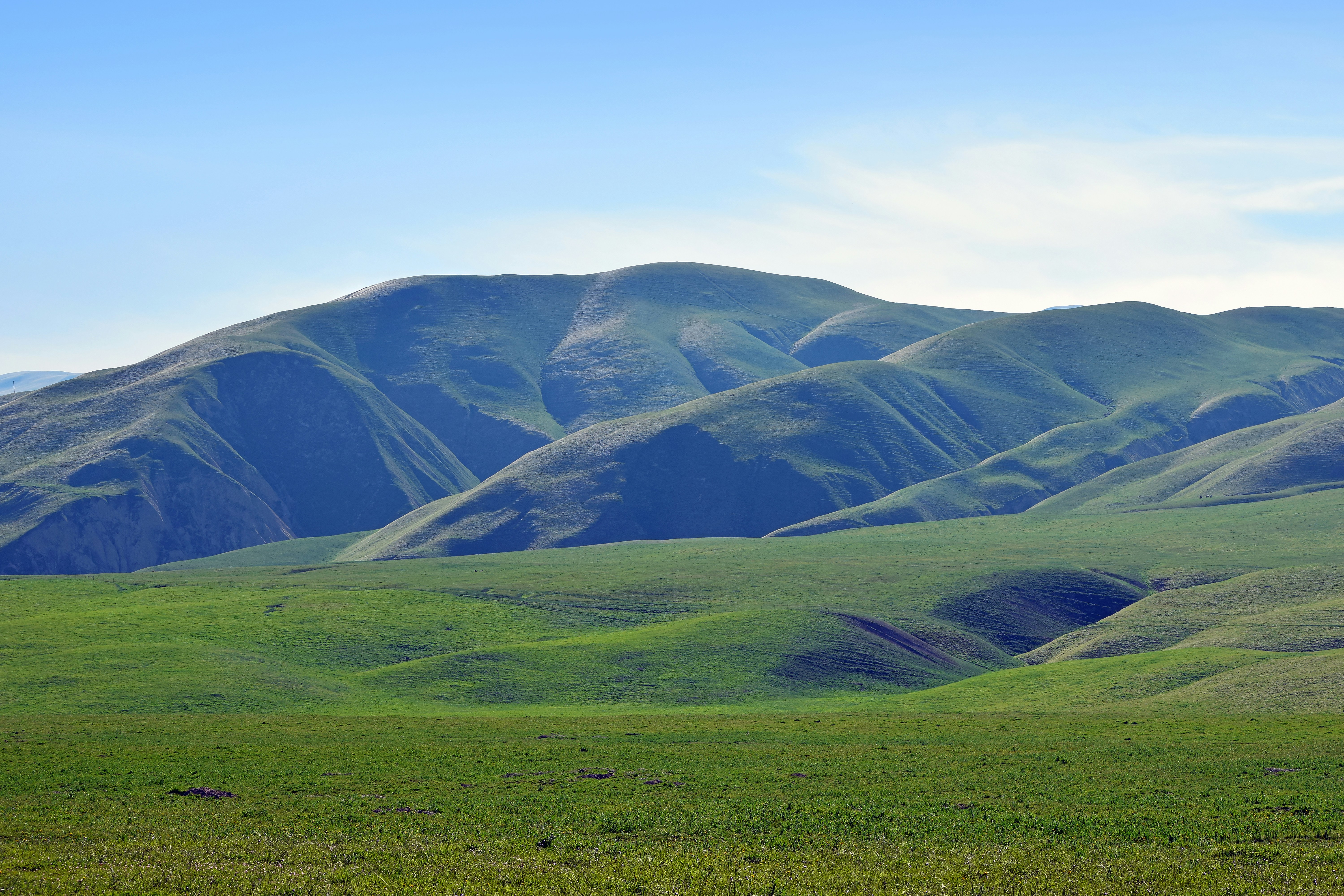 Bakersfield skyline